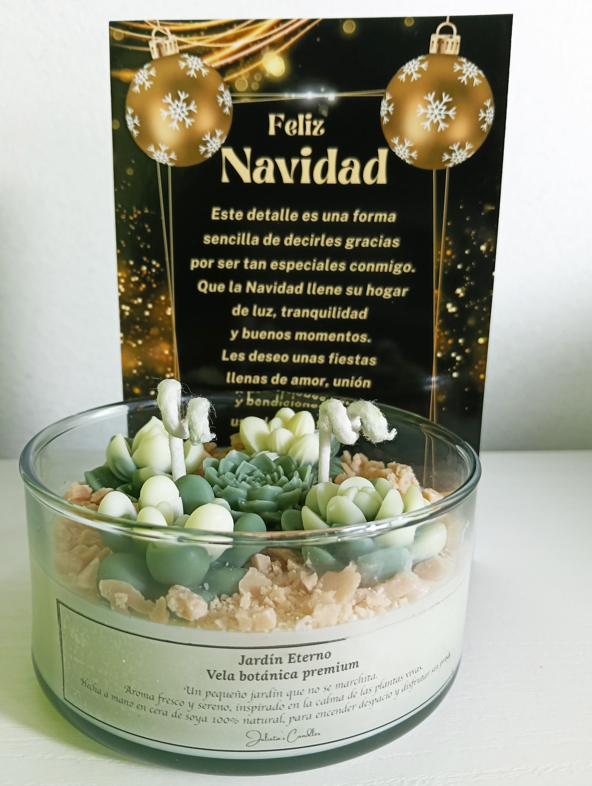 Vela Terrario - Image 2